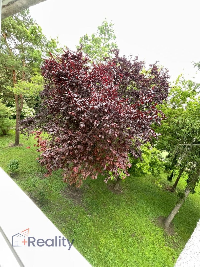 Kompletne zrekonštruovaný trojizbový byt v meste Dunajská Streda na predaj!